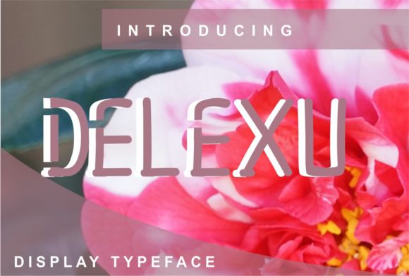 Delexu: A Modern Display Font for Stronger Brand Visuals