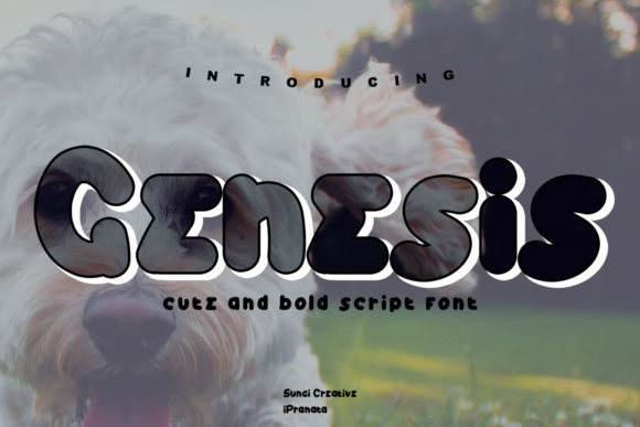 Genesis Font for Branding: A Friendly Display Typeface in Action
