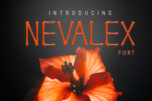 Nevalex Display Font Review